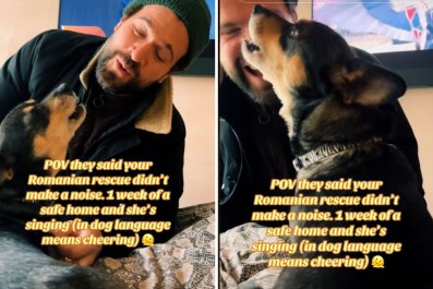 Owner Told Rescue Dog 'Didn't Make a Noise,' Week Later She Learned Truth
