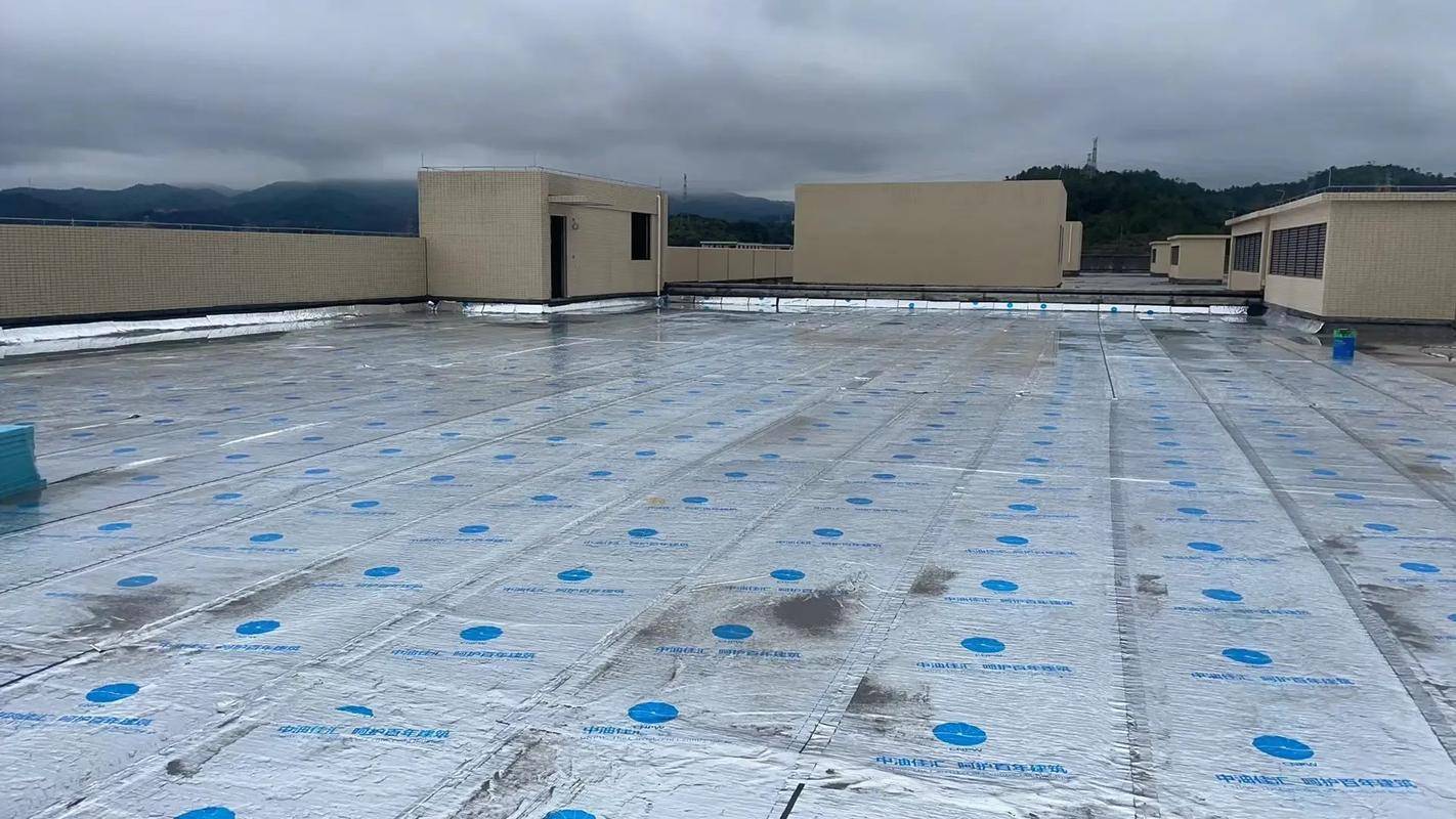 From "Invisible Work" to "Tangible Value": How Liu Li Is Reshaping the Professional Understanding and Management Landscape of the Waterproofing Industry